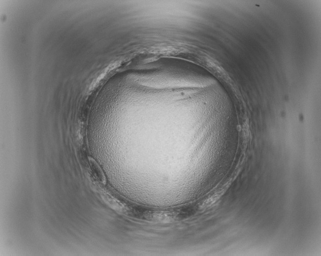 X0000052550305200507221458