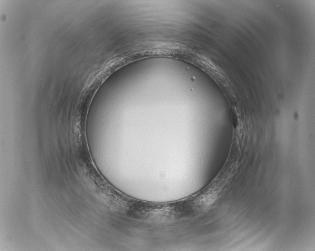 X0000052550306200507221458