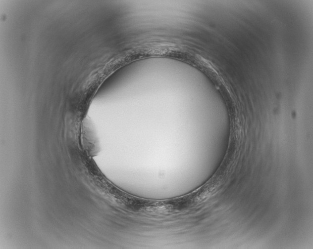 X0000052550307200507221458