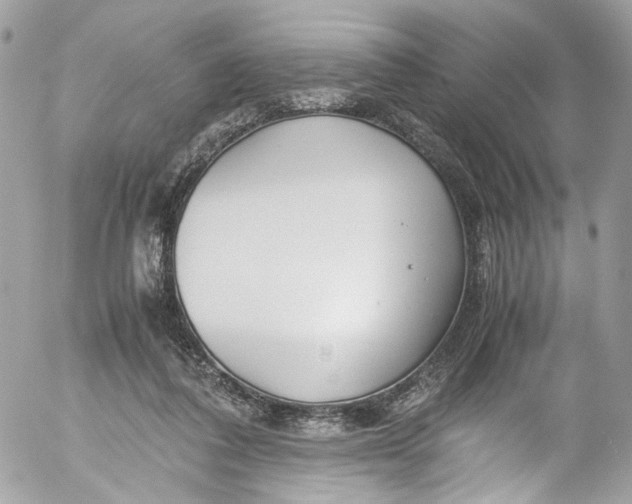 X0000052550308200507221458