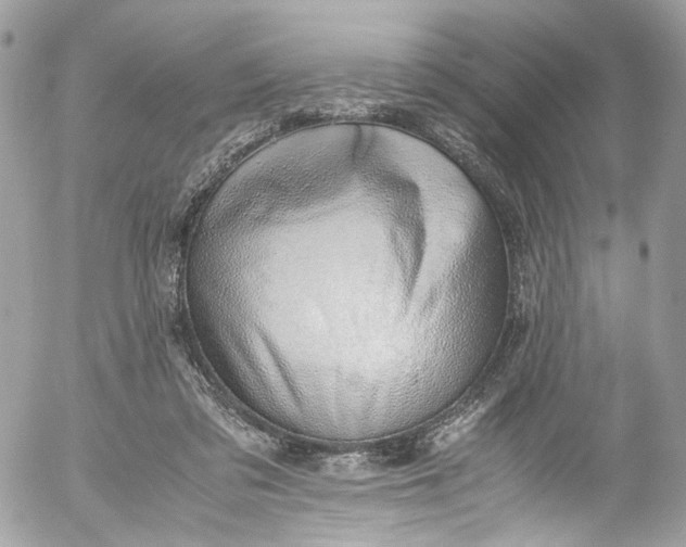 X0000052550309200507221458