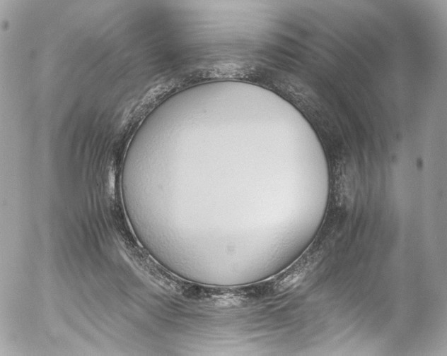 X0000052550310200507221458