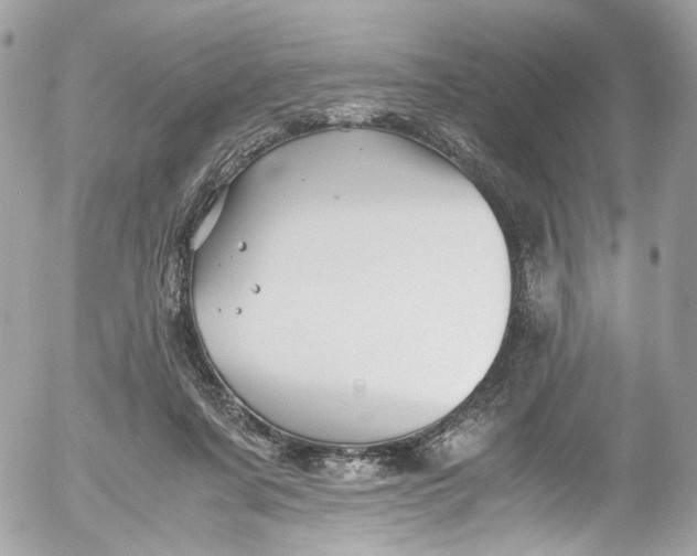 X0000052550311200507221458