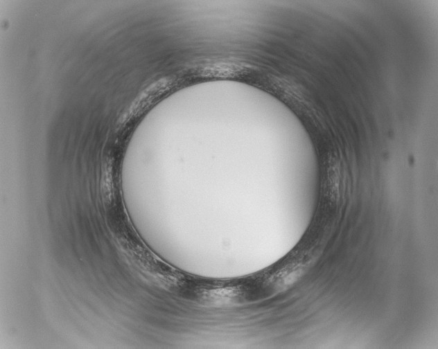 X0000052550312200507221458