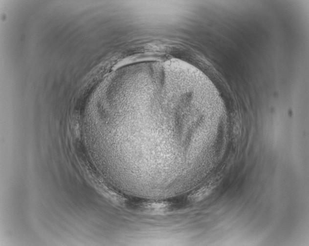 X0000052550313200507221458