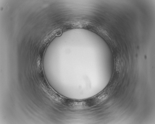 X0000052550314200507221458