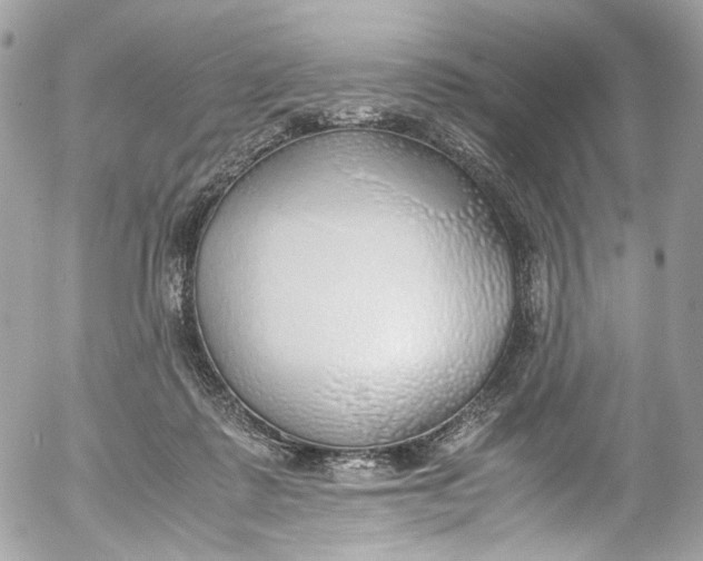 X0000052550315200507221458