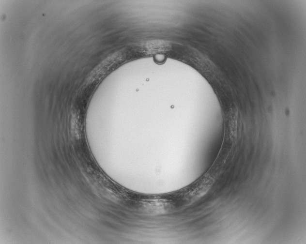 X0000052550316200507221458