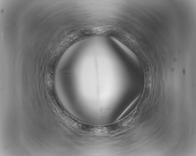 X0000052550317200507221458