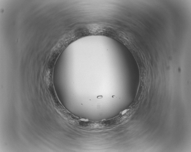 X0000052550319200507221458