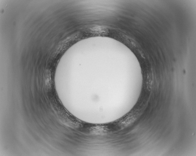 X0000052550320200507221457