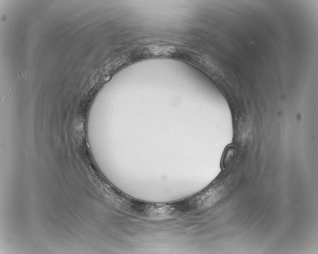 X0000052550321200507221457