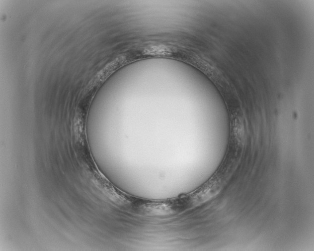 X0000052550322200507221457