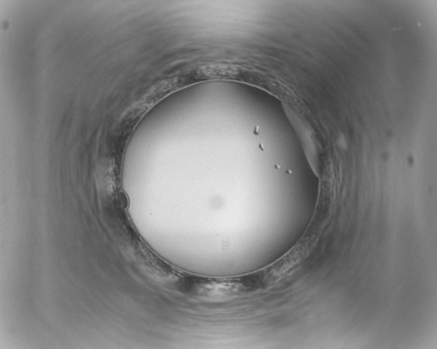 X0000052550323200507221457