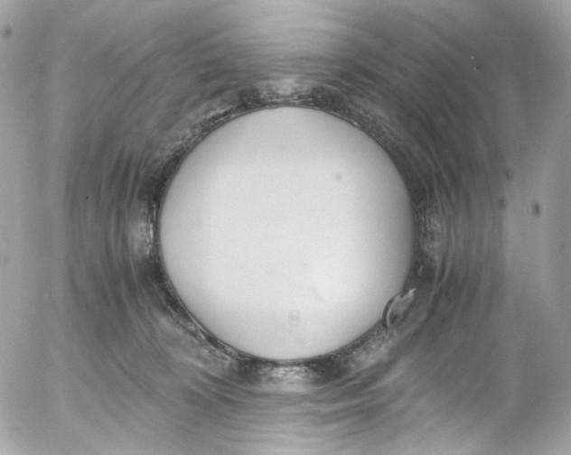 X0000052550324200507221457