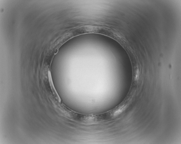 X0000052550325200507221457