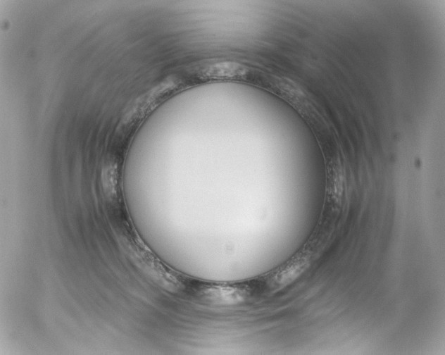 X0000052550326200507221457