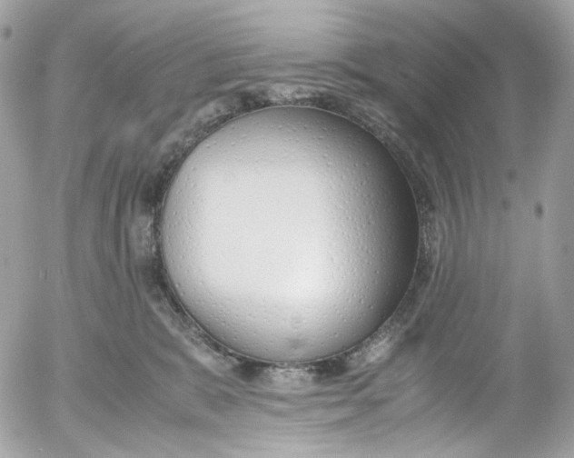 X0000052550327200507221457