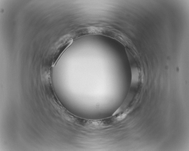 X0000052550329200507221457