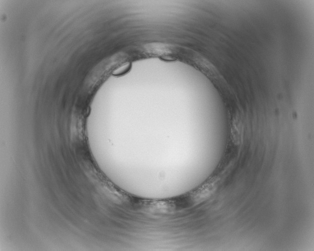 X0000052550330200507221457