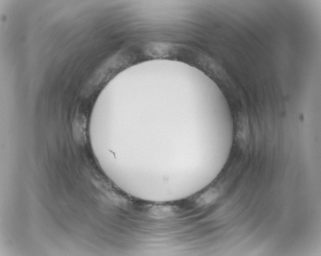 X0000052550332200507221457