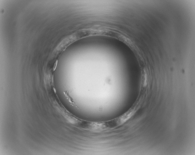 X0000052550333200507221457