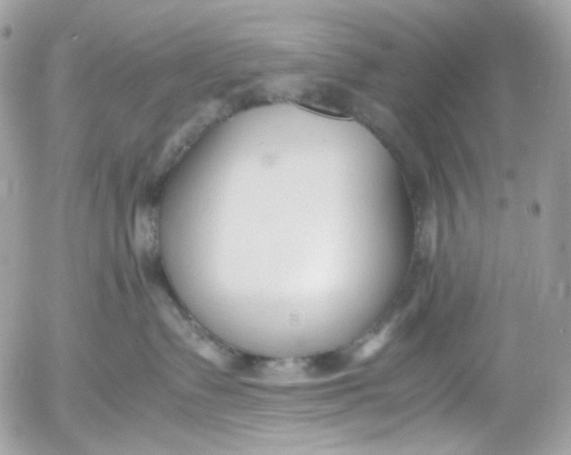 X0000052550335200507221457