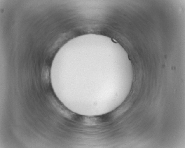 X0000052550336200507221457