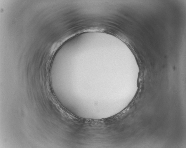 X0000052550337200507221456