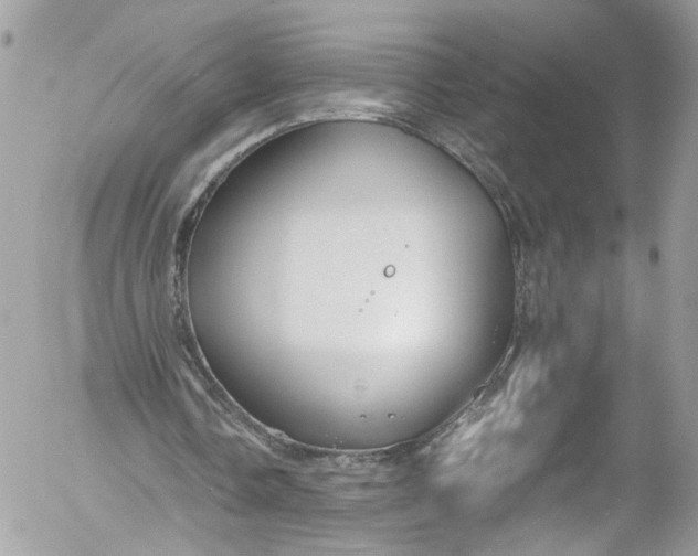 X0000052550338200507221456