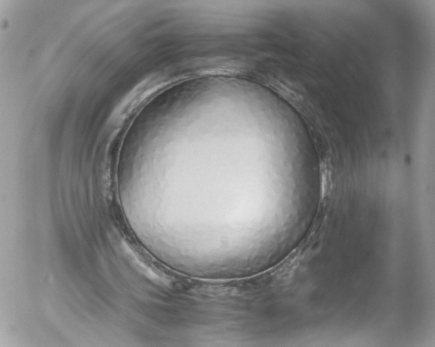 X0000052550339200507221456