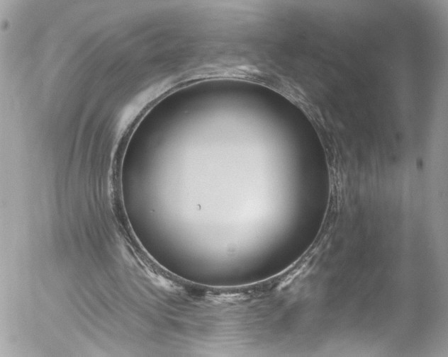 X0000052550340200507221456