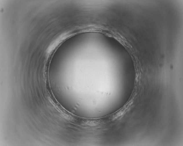 X0000052550341200507221457