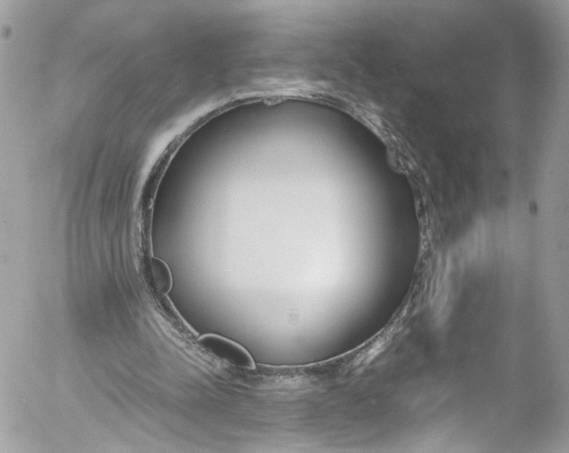 X0000052550342200507221457