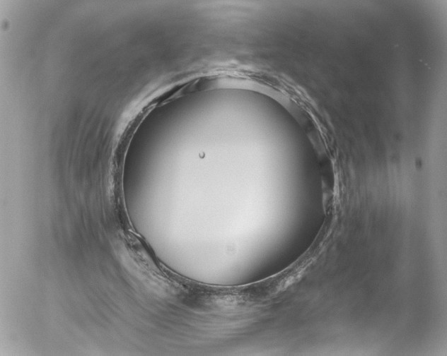 X0000052550344200507221457