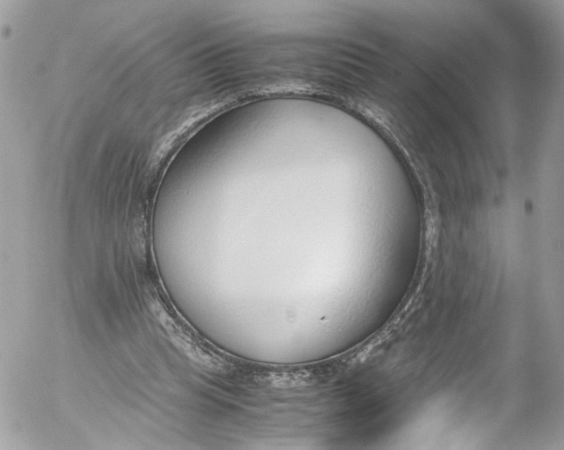 X0000052550345200507221457