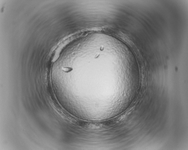 X0000052550346200507221457