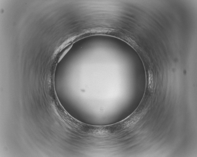 X0000052550348200507221457