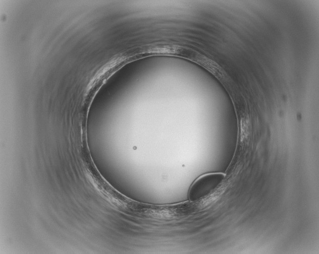 X0000052550349200507221457