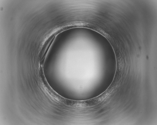 X0000052550350200507221457