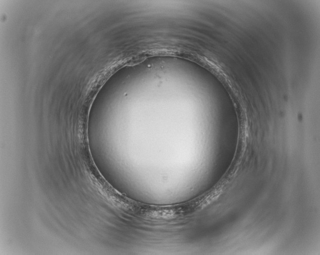 X0000052550353200507221457