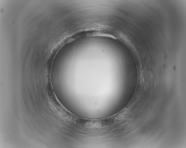 X0000052550354200507221457