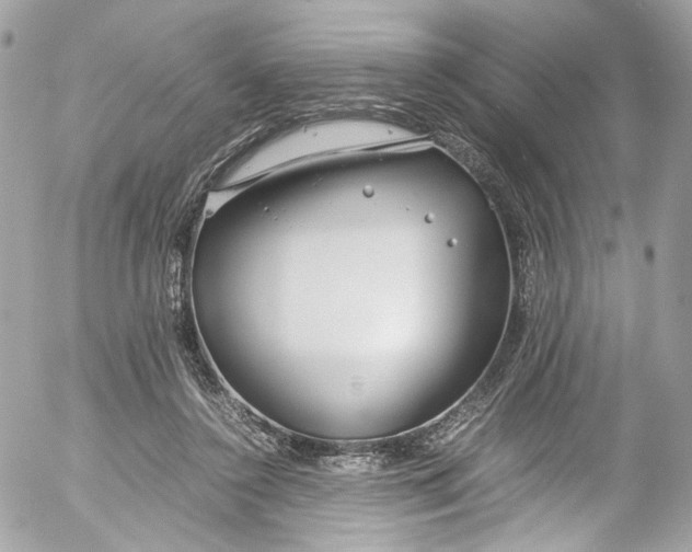 X0000052550356200507221457