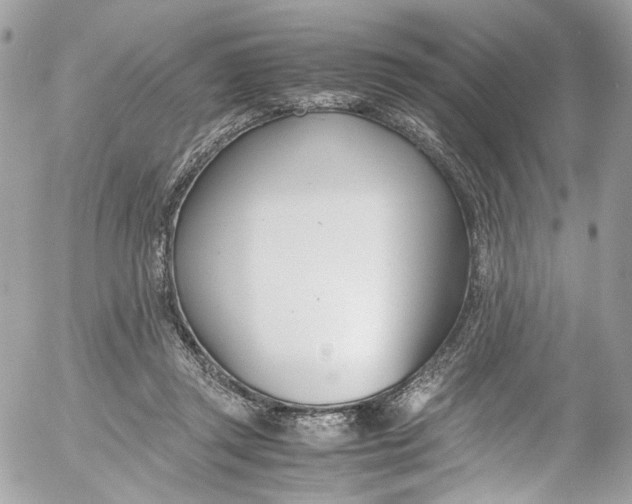 X0000052550357200507221457