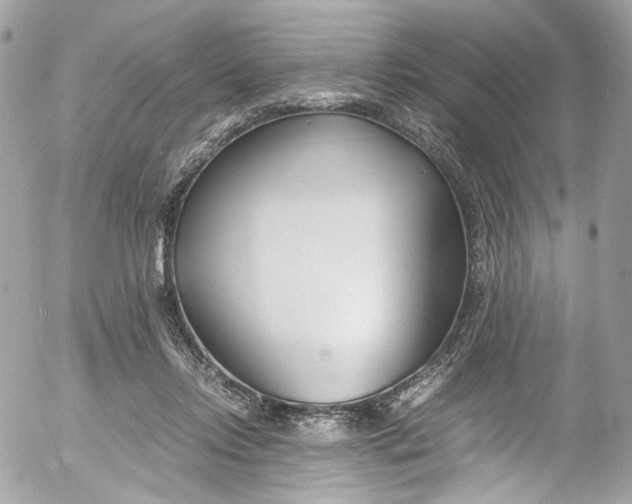 X0000052550358200507221457