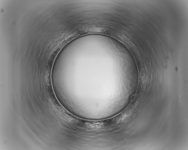 X0000052550359200507221457