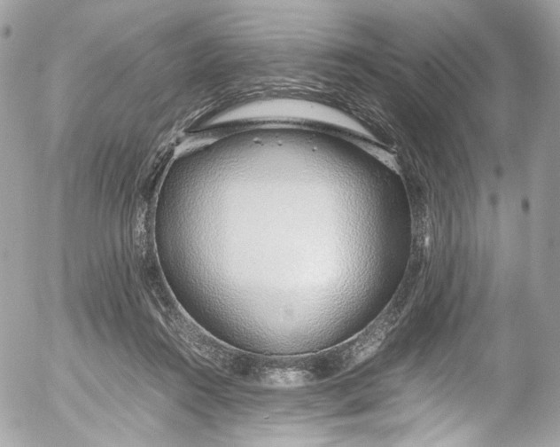 X0000052550360200507221457