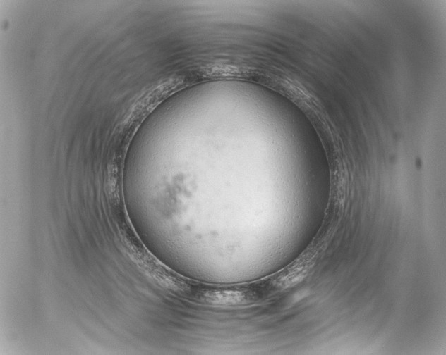 X0000052550361200507221457