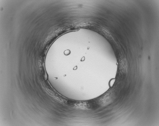 X0000052550362200507221457