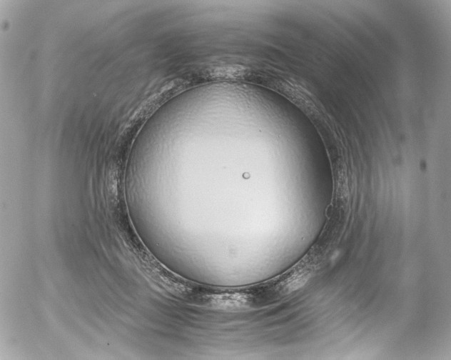 X0000052550363200507221457